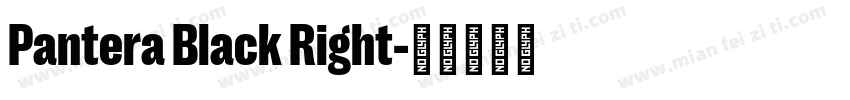 Pantera Black Right字体转换